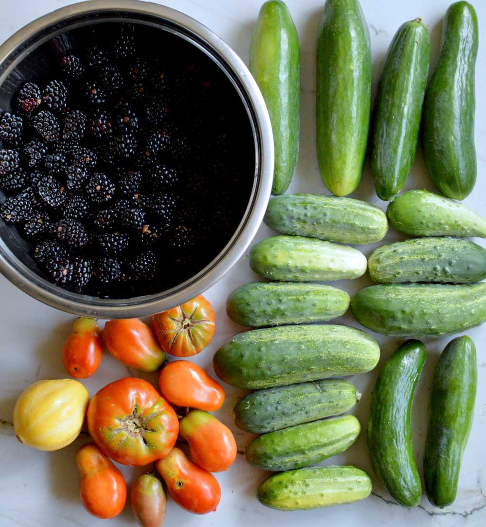 Vegetable Gardening On a budget - 15 Tips to Save Big ...