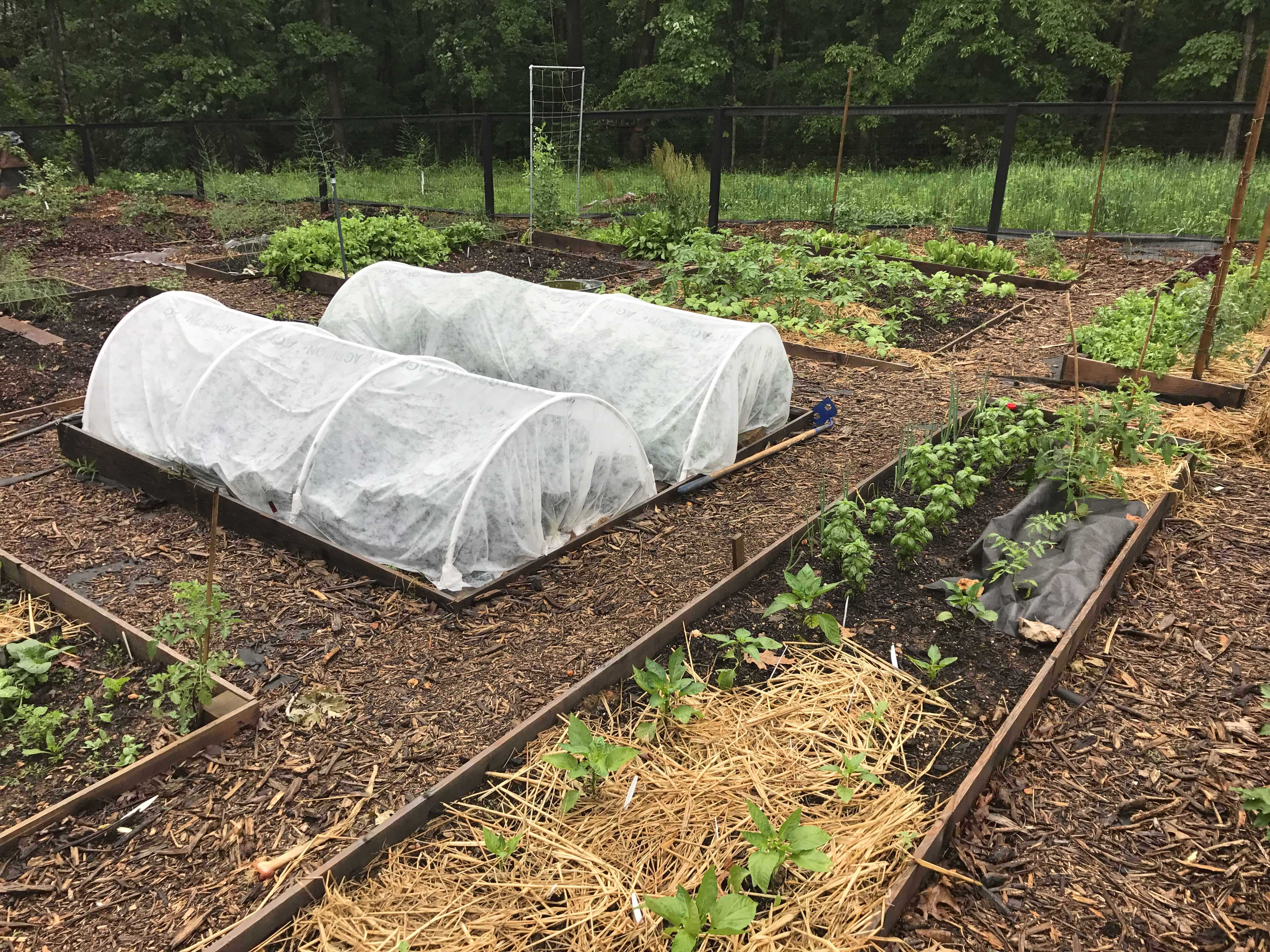 How to Build A Low Tunnel The Seasonal Homestead