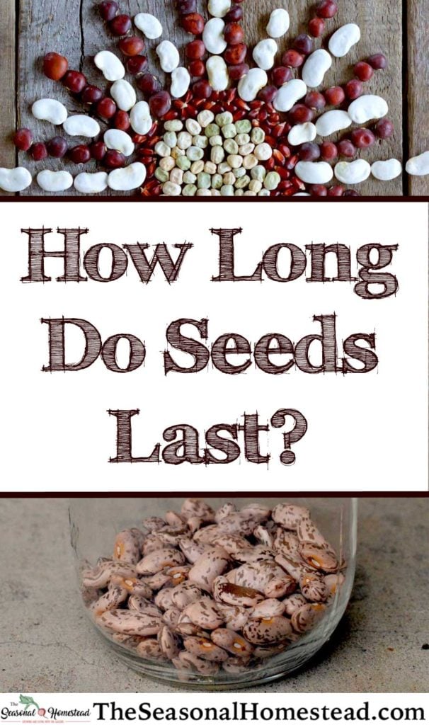 How Long Do Seeds Last? The Seasonal Homestead