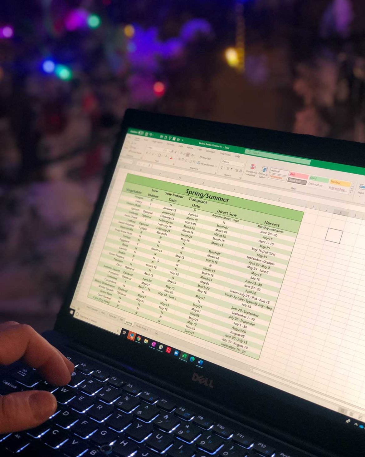 When to Plant Vegetables in Zone 6 The Seasonal Homestead