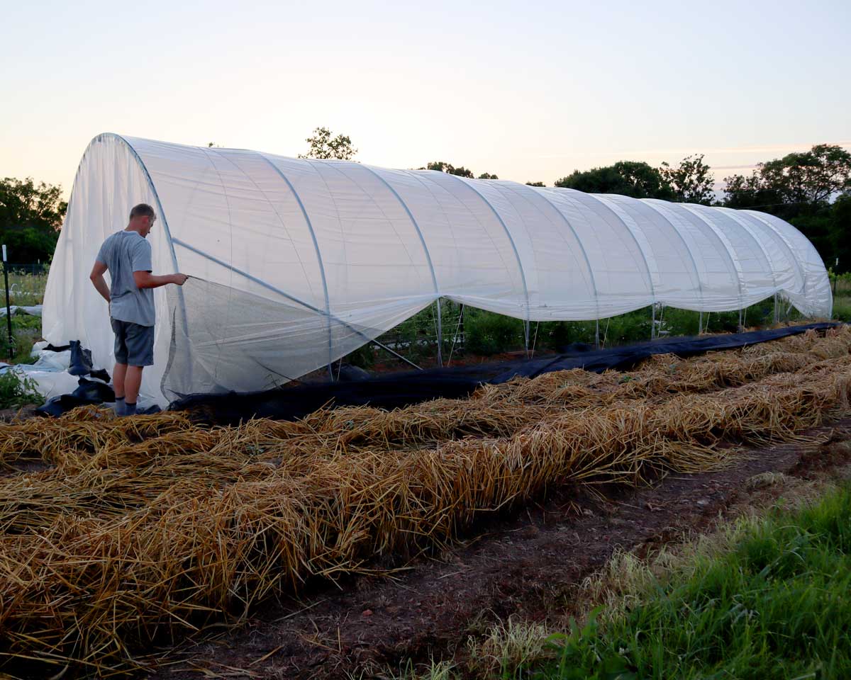 The Weekly Digs 117 The Seasonal Homestead