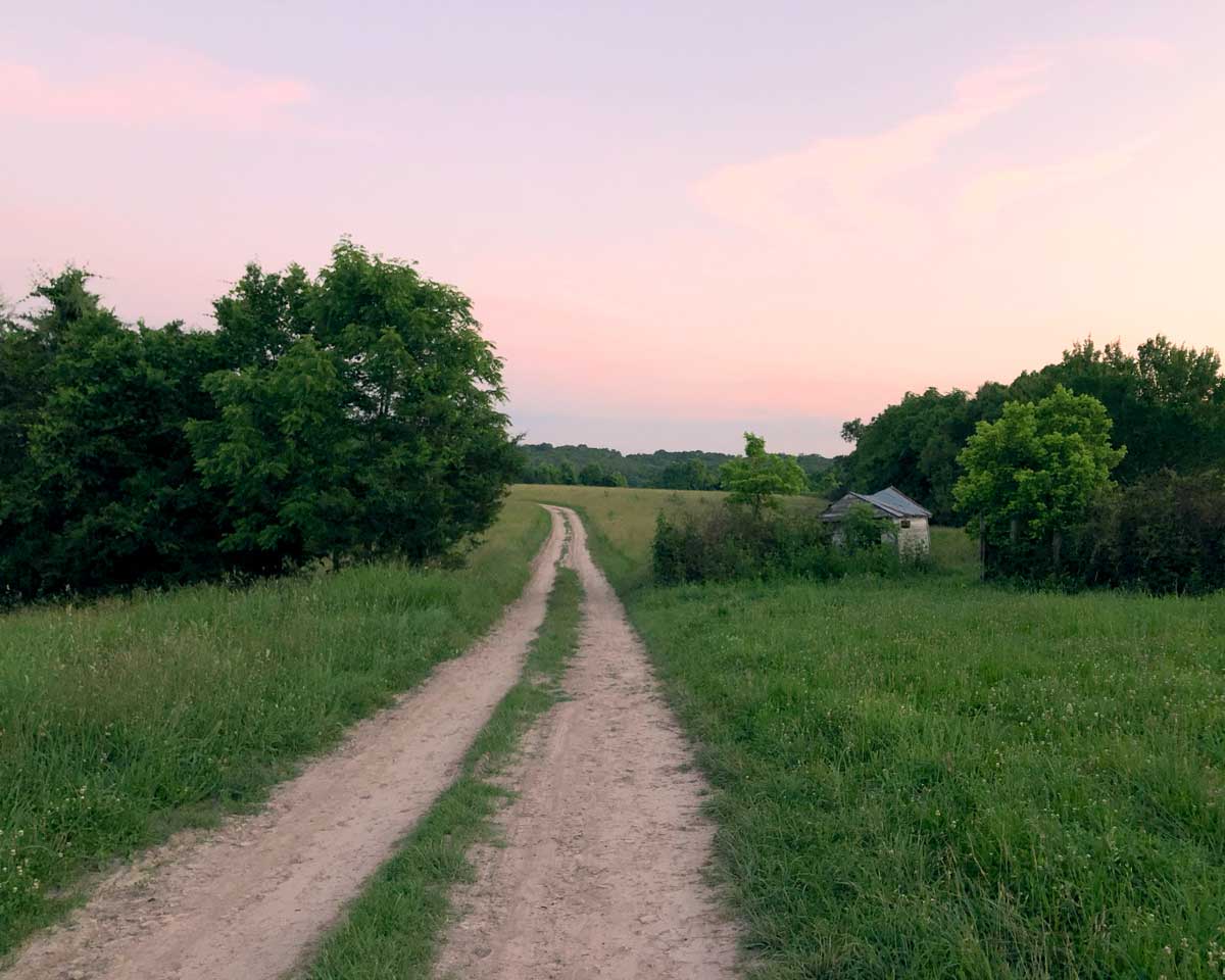 Homesteading in Arkansas The Facts and My Experience The Seasonal