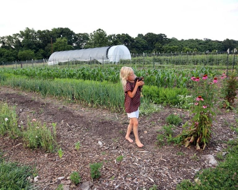 The Weekly Digs #119