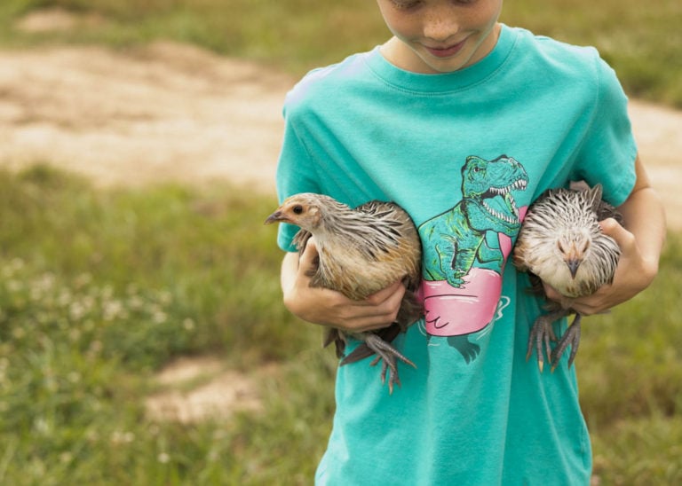 Picture of Best Egg Laying Chickens (Heritage Breeds!) - The Seasonal Homestead