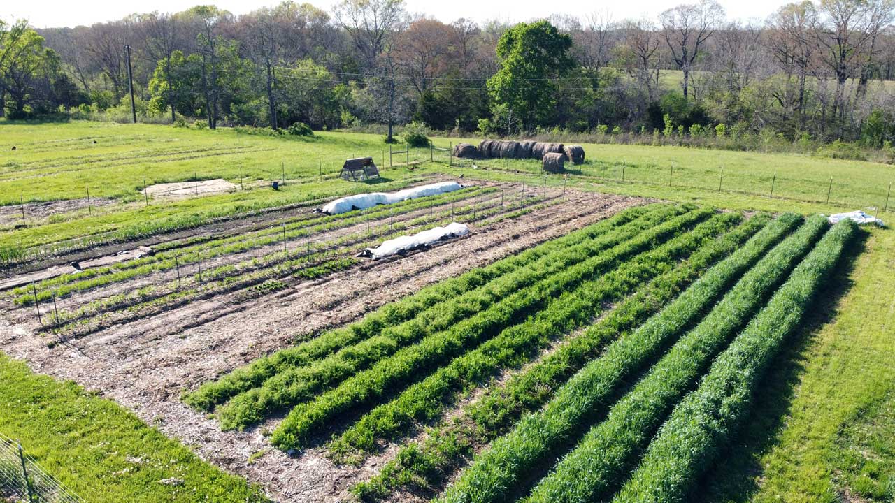 How To Use Cover Crops in the Home Garden The Seasonal Homestead