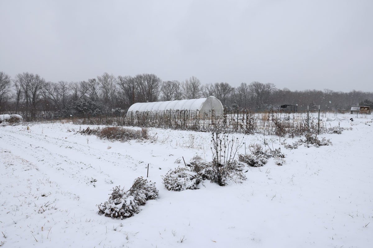 7 Ways to Prepare for the Garden Season in Winter The Seasonal Homestead