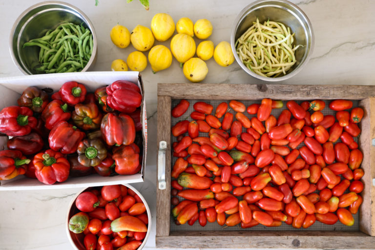 The Best Professional Soil Test Kit - The Seasonal Homestead