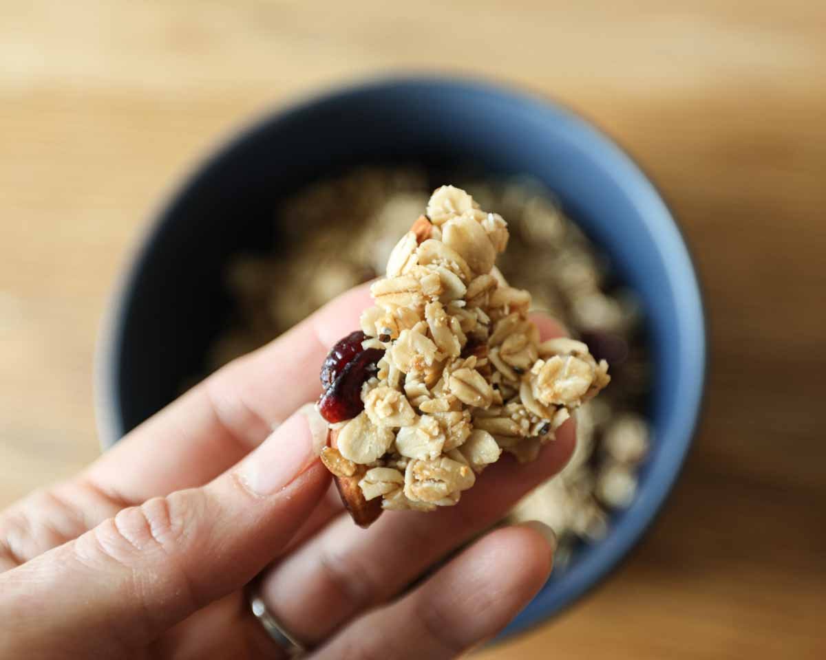 Homemade Granola (Bulk Recipe!) The Seasonal Homestead