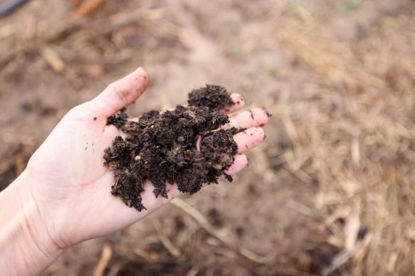 The Best Professional Soil Test Kit - The Seasonal Homestead