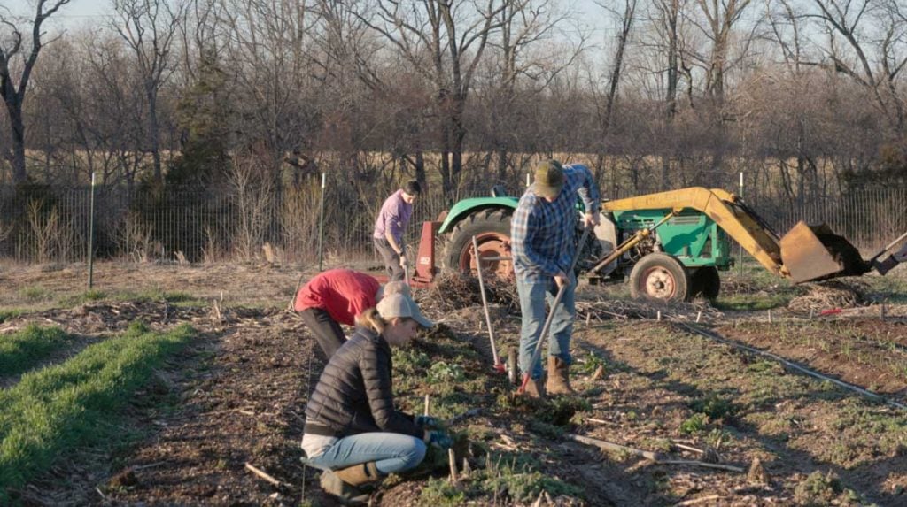 A family weeds a garden.
