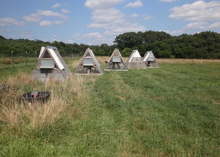 The Weekly Digs #211