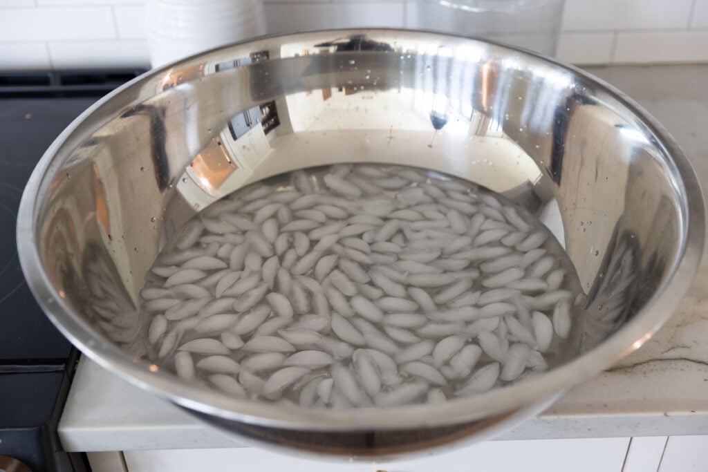 A large bowl of water filled with ice.