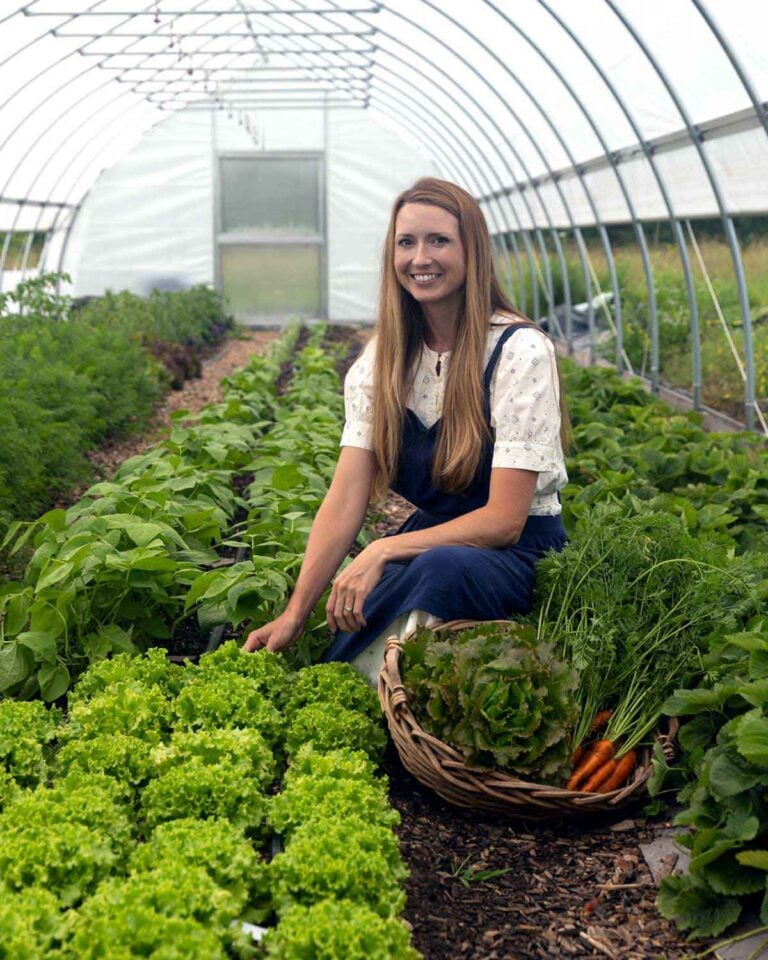 Ketchup for Canning The Seasonal Homestead