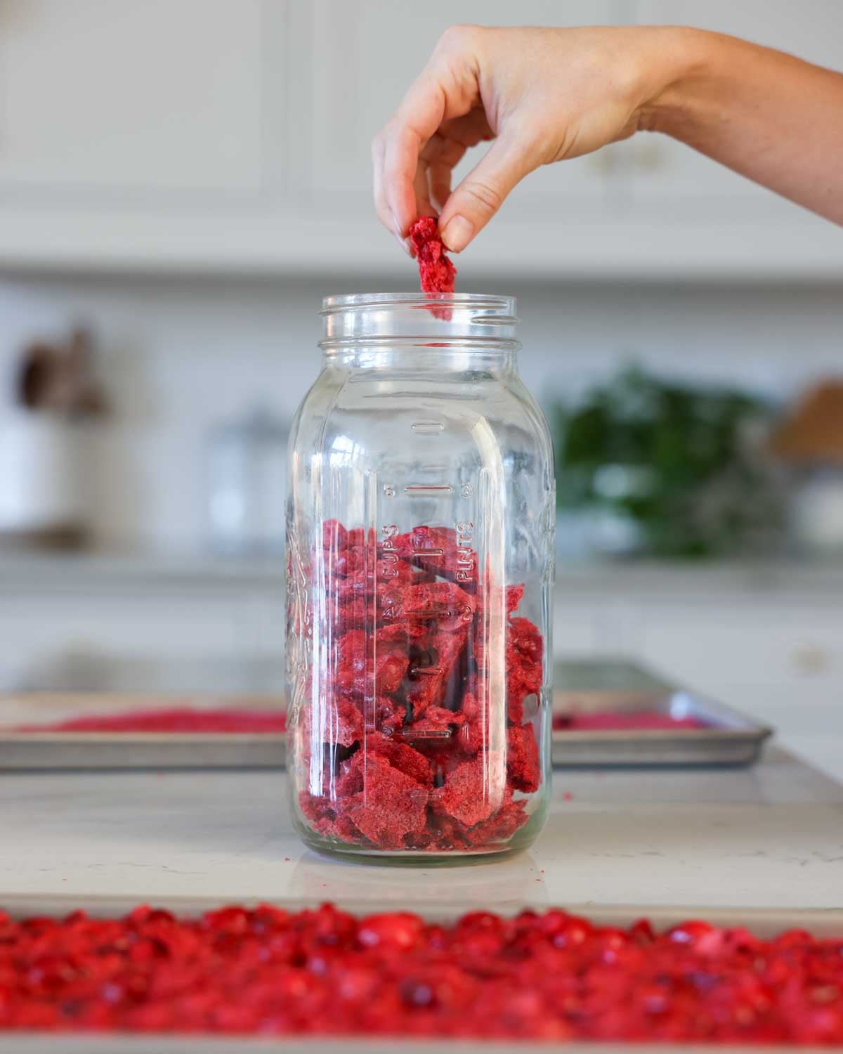 Freeze Dried Cranberries Recipe - The Seasonal Homestead