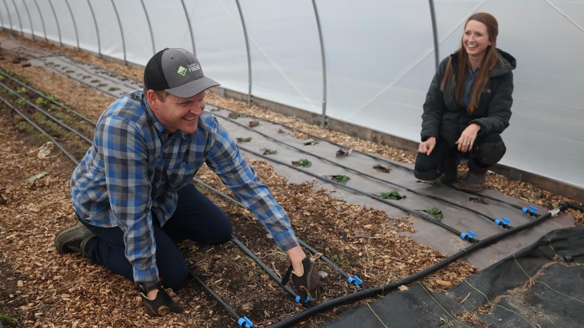 A couple sets up drip irrigation in a garden with in ground rows.
