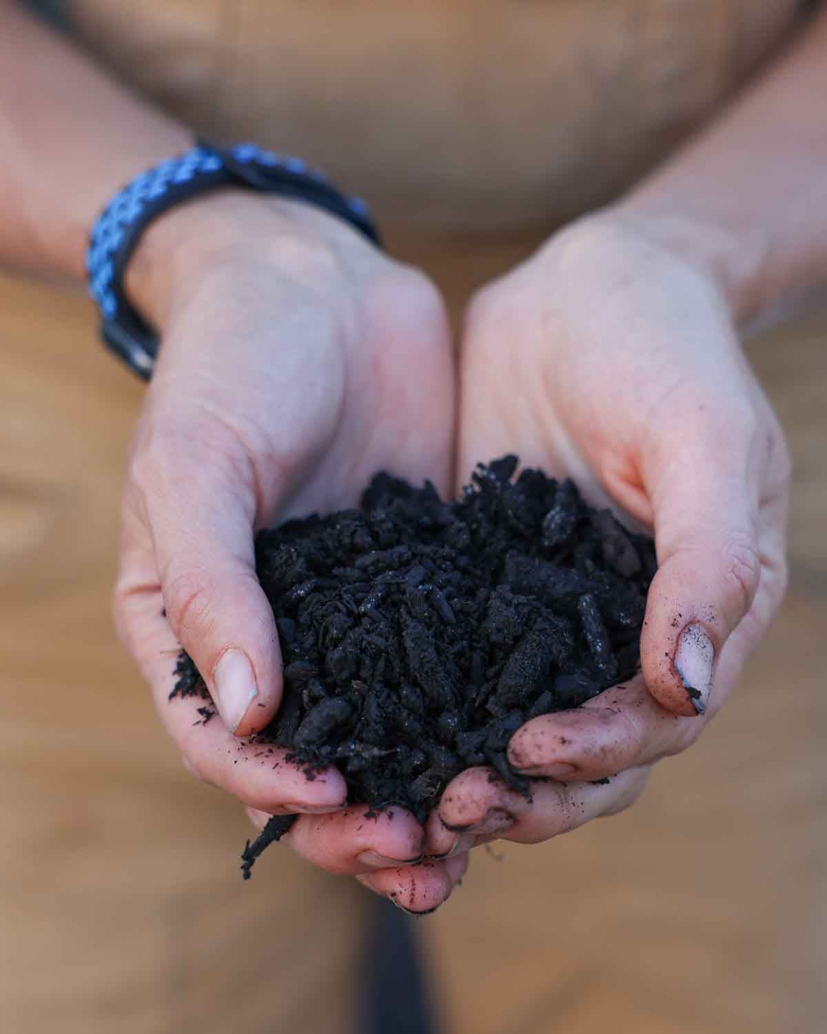 Hands holding rich compost.