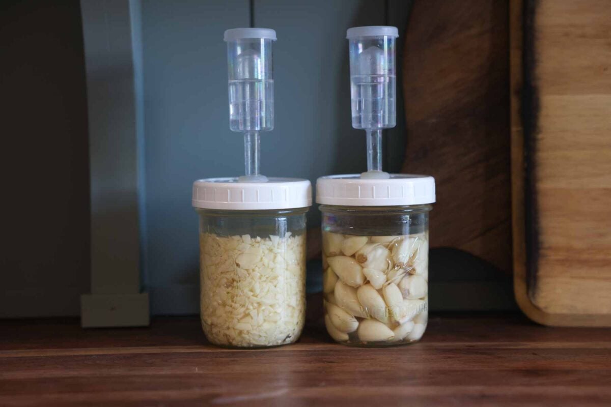 Two jars of garlic, fermenting on a counter top with airlock lids.
