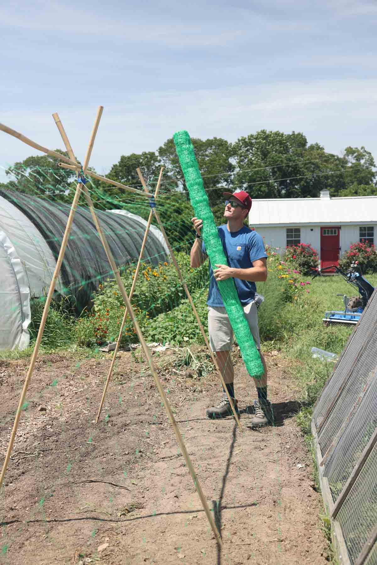 Unrolling the plastic netting that will lay on the bamboo frame.
