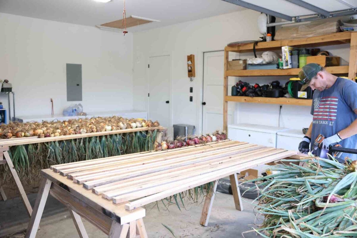 finishing the second onion drying rack in the garage