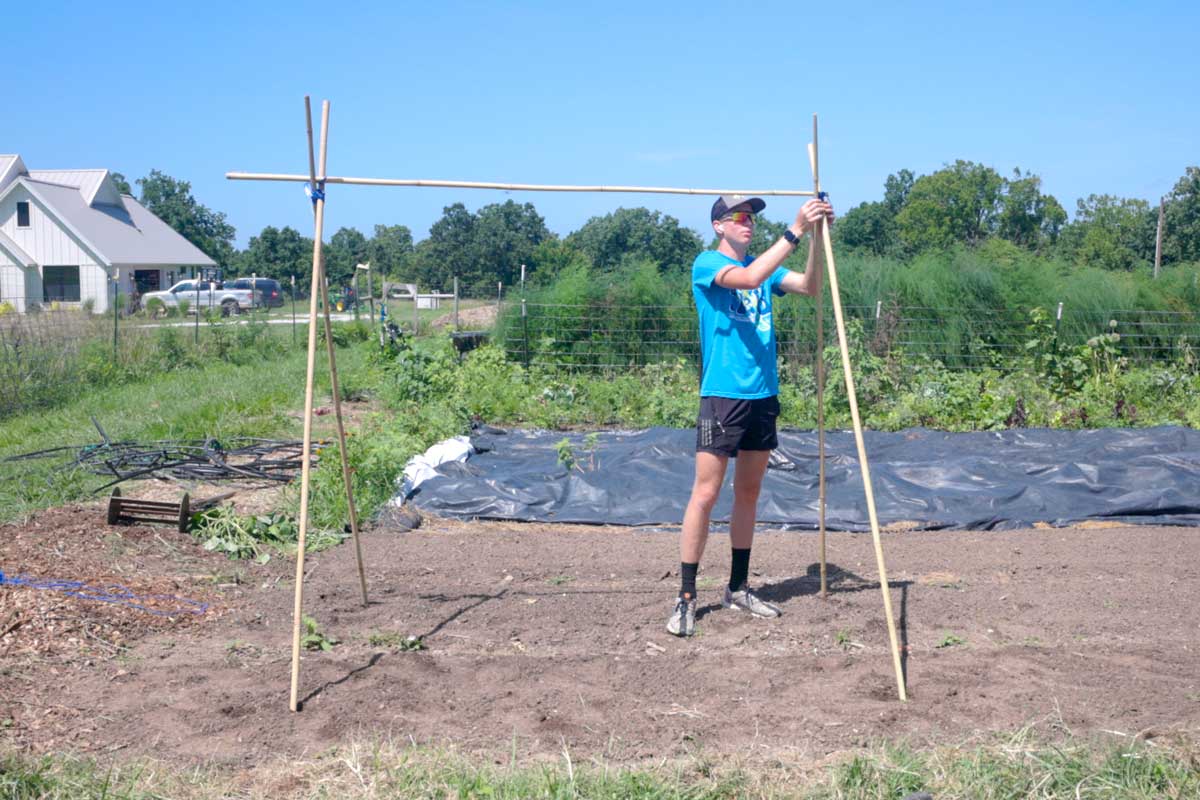 Standing up the first span of bean trellis pieces in the garden