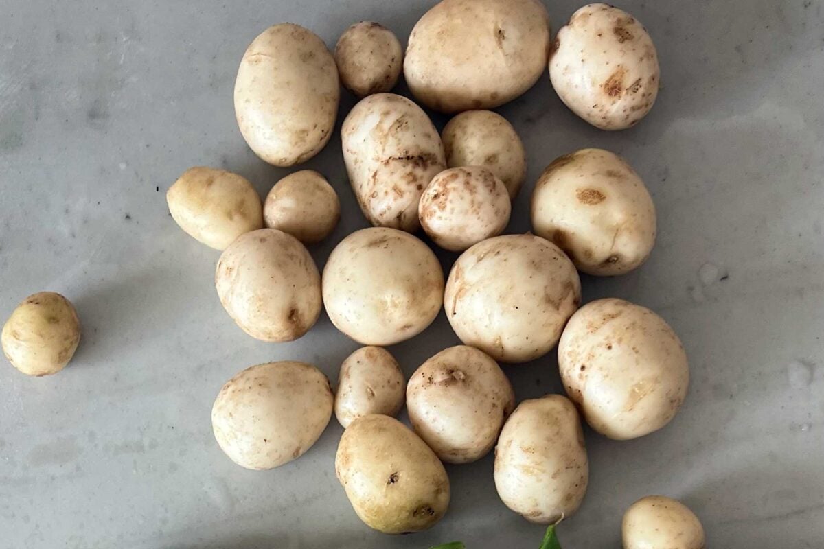 new potatoes on a counter with thin skins and smaller potatoes.