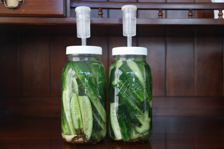Lacto Fermented Dill Pickles