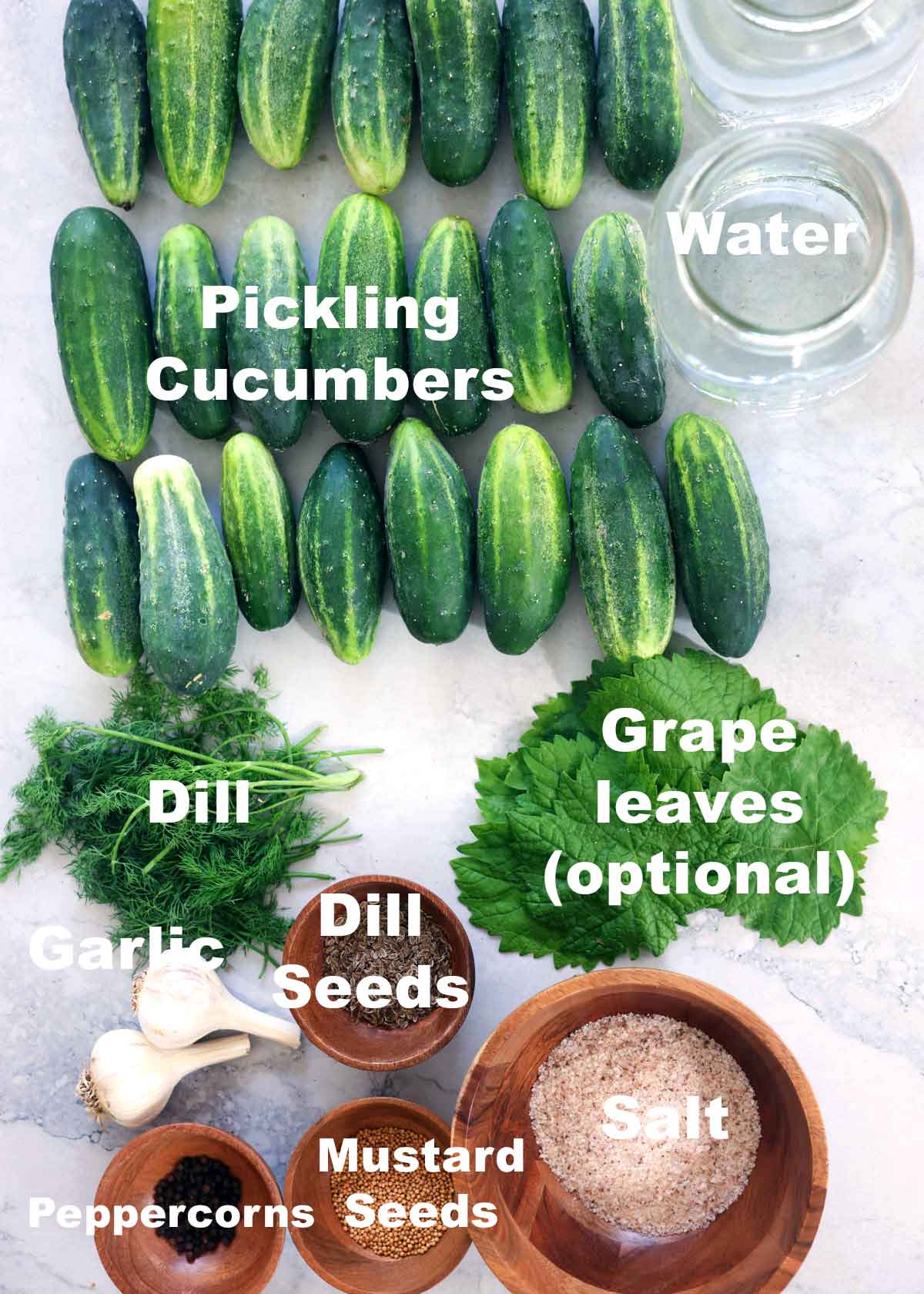 Ingredients in lacto fermented dill pickles like pickling cucumbers, fresh dill, dill seeds, garlic, salt, mustard seeds, and peppercorns.