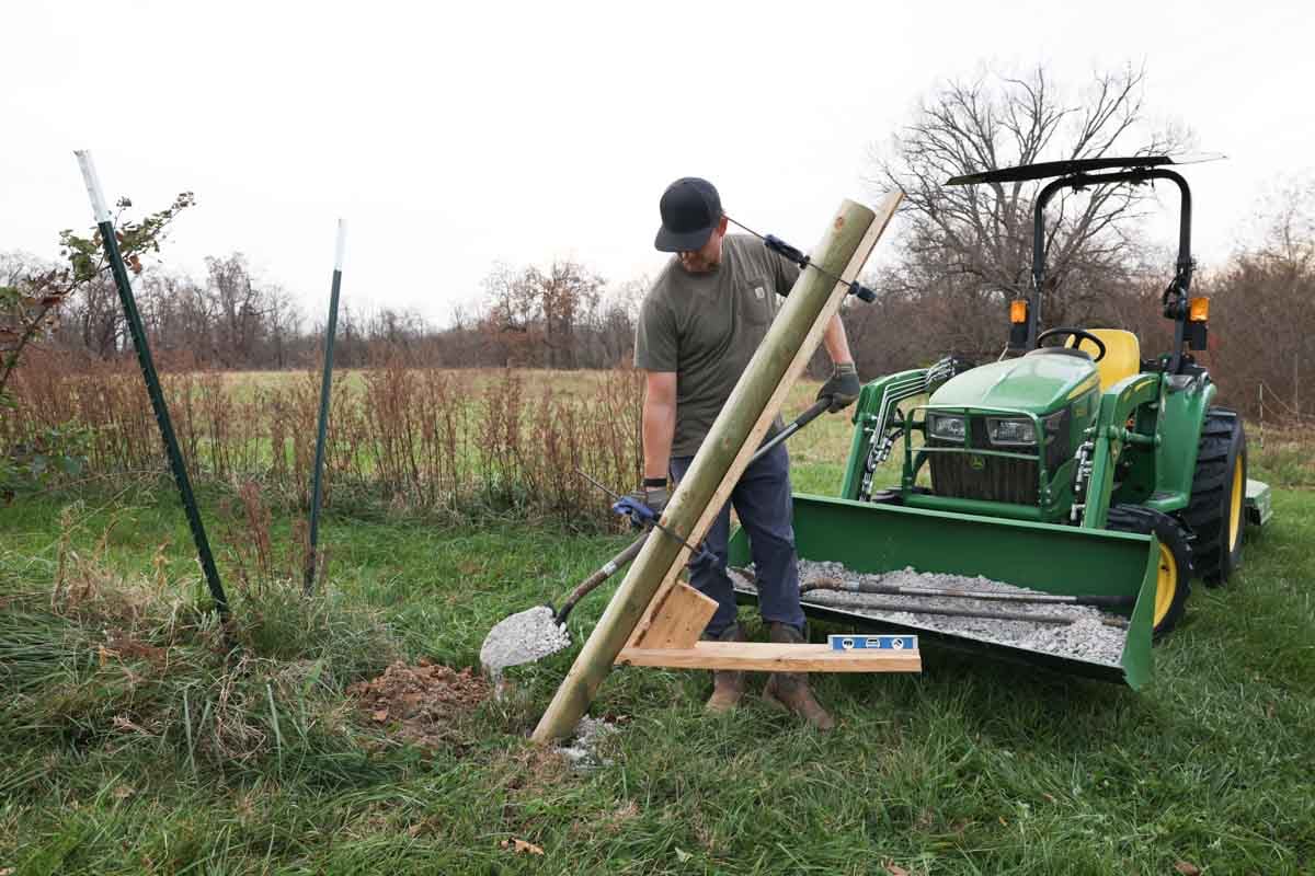 placing a wood post in a hole, at an angle, for holding a blackberry trellis