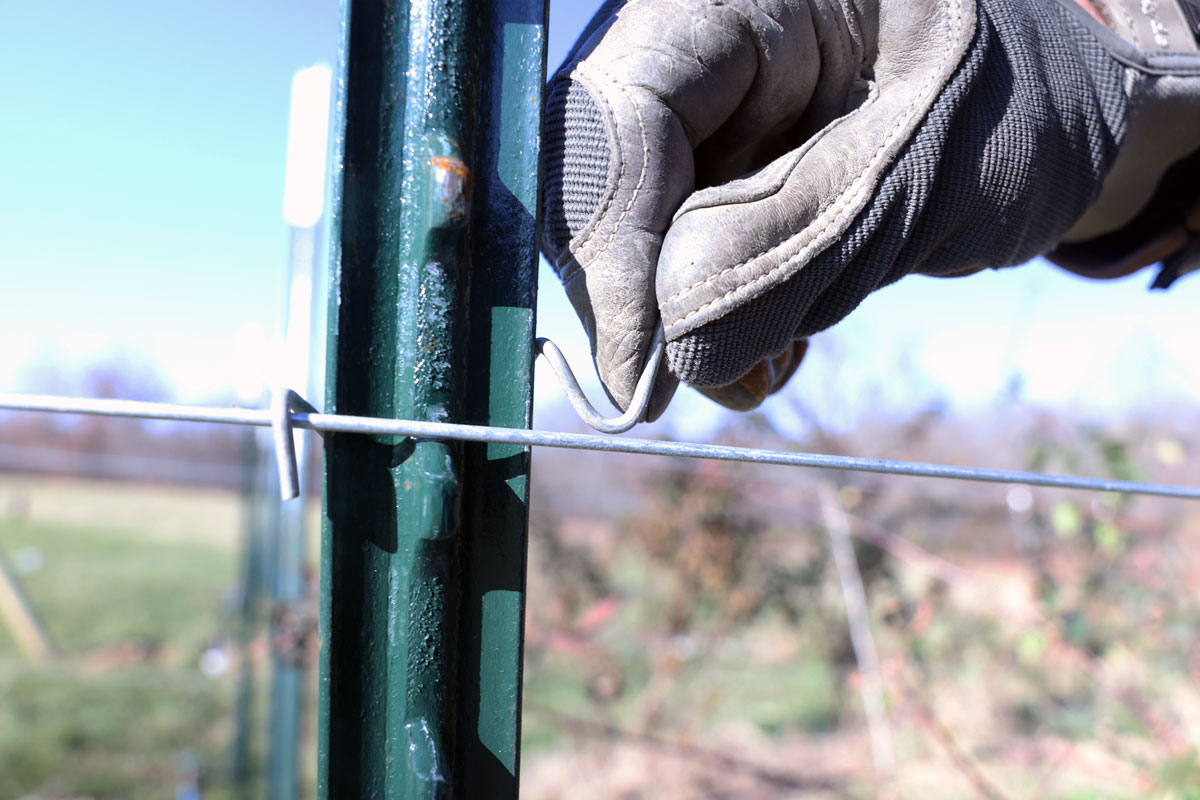 closeup of t post, glove, and fence clips