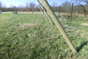 line of guy wires attached to some trellis end posts