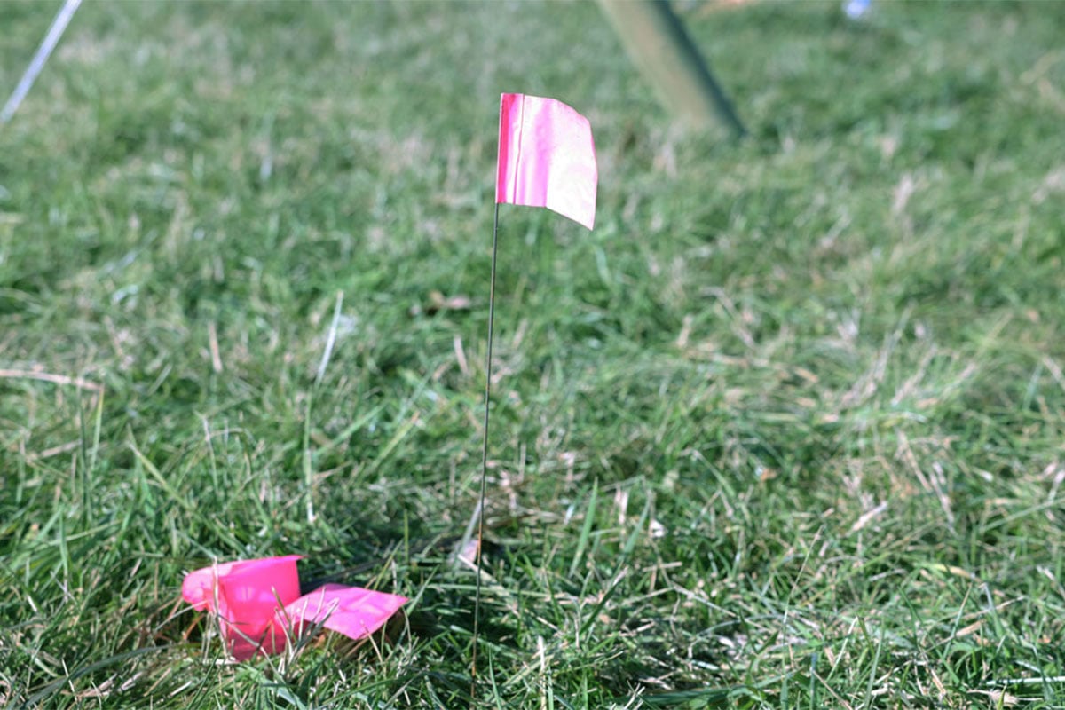 marking flags in the grass