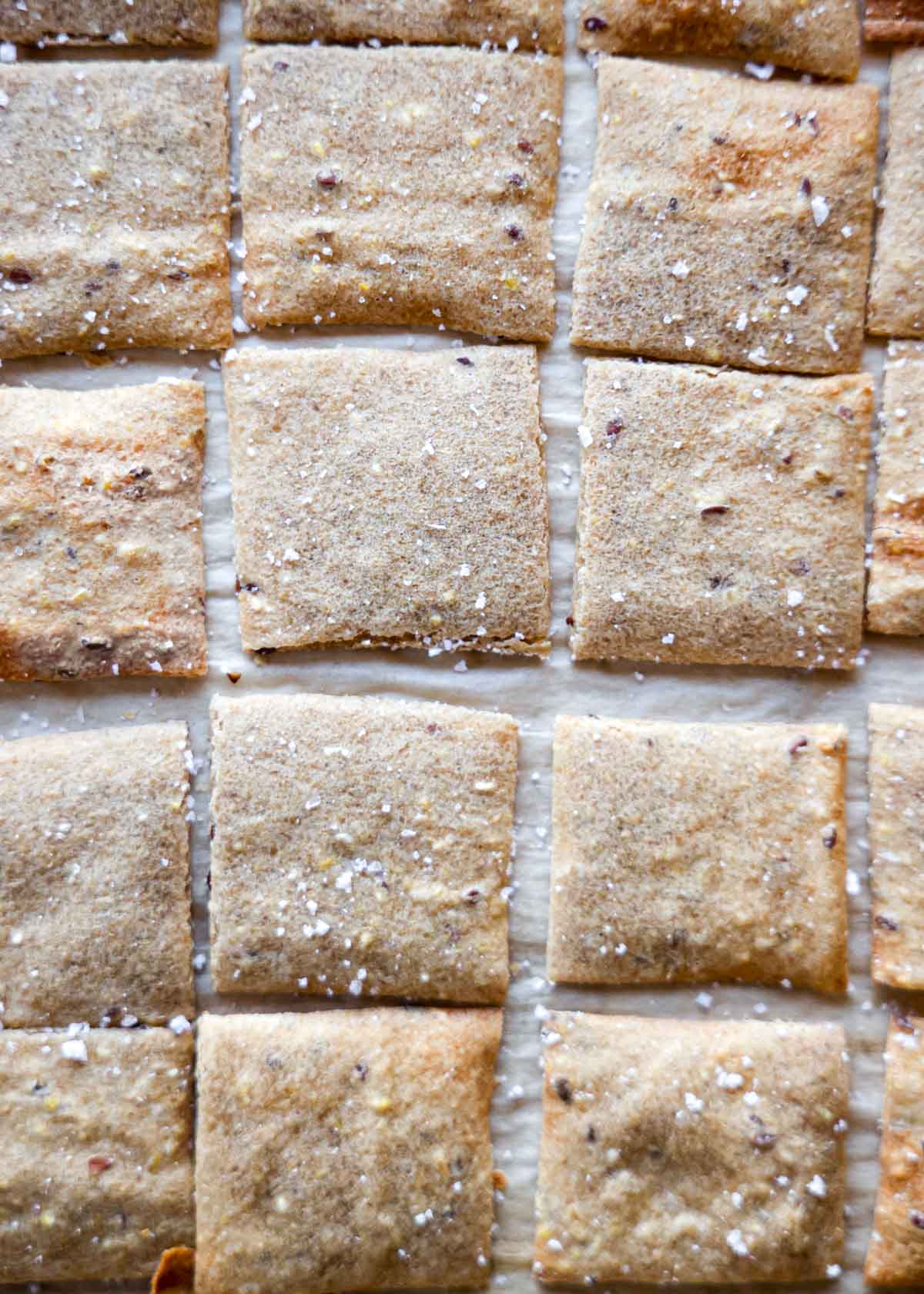 A close of view of multigrain sourdough discard crackers with seeds, cornmeal, and salt sprinkled on the top.