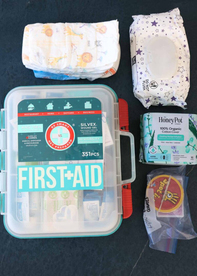 How to Build a Winter Emergency Car Kit & printable checklist - The ...