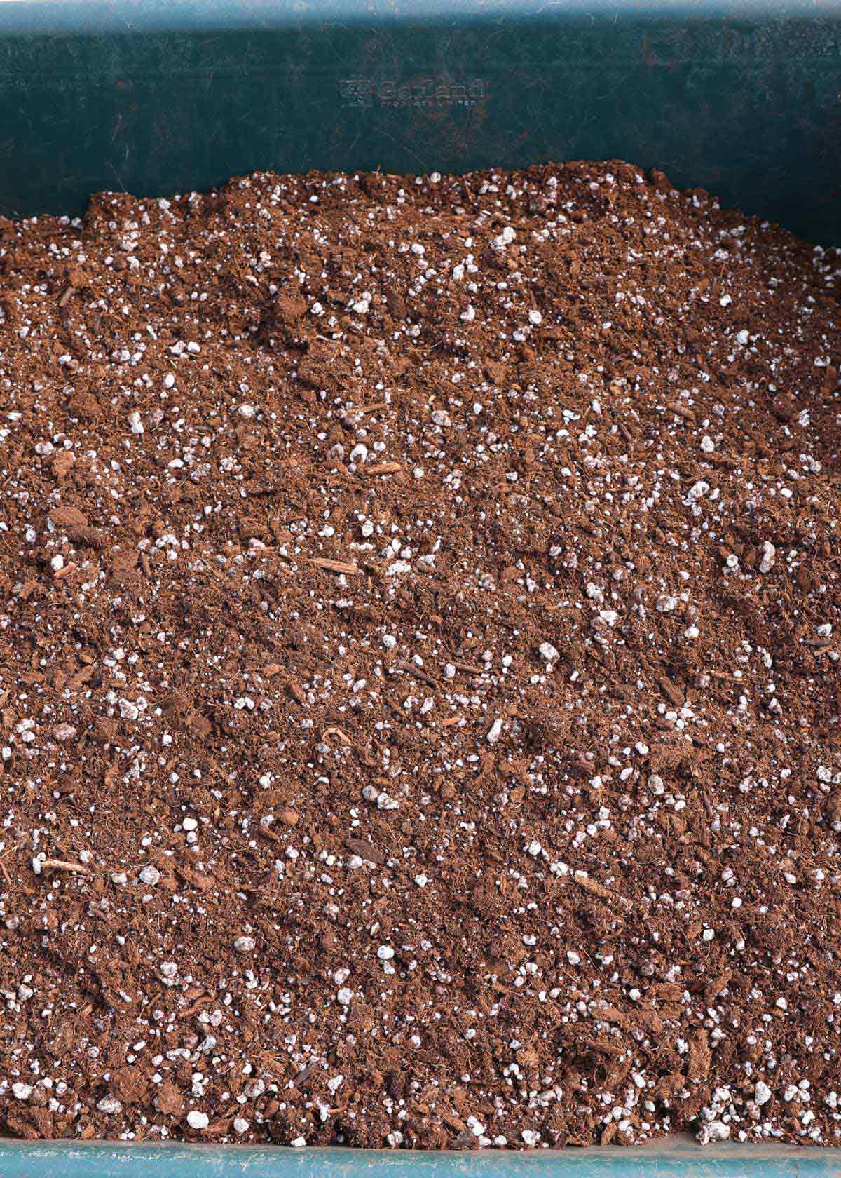 Seed starting mix in a container.