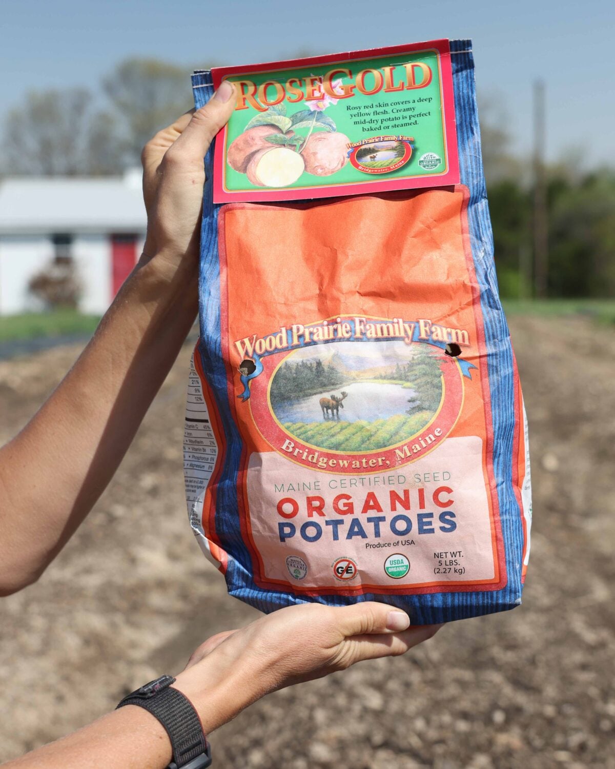 A bag of organic seed potatoes.