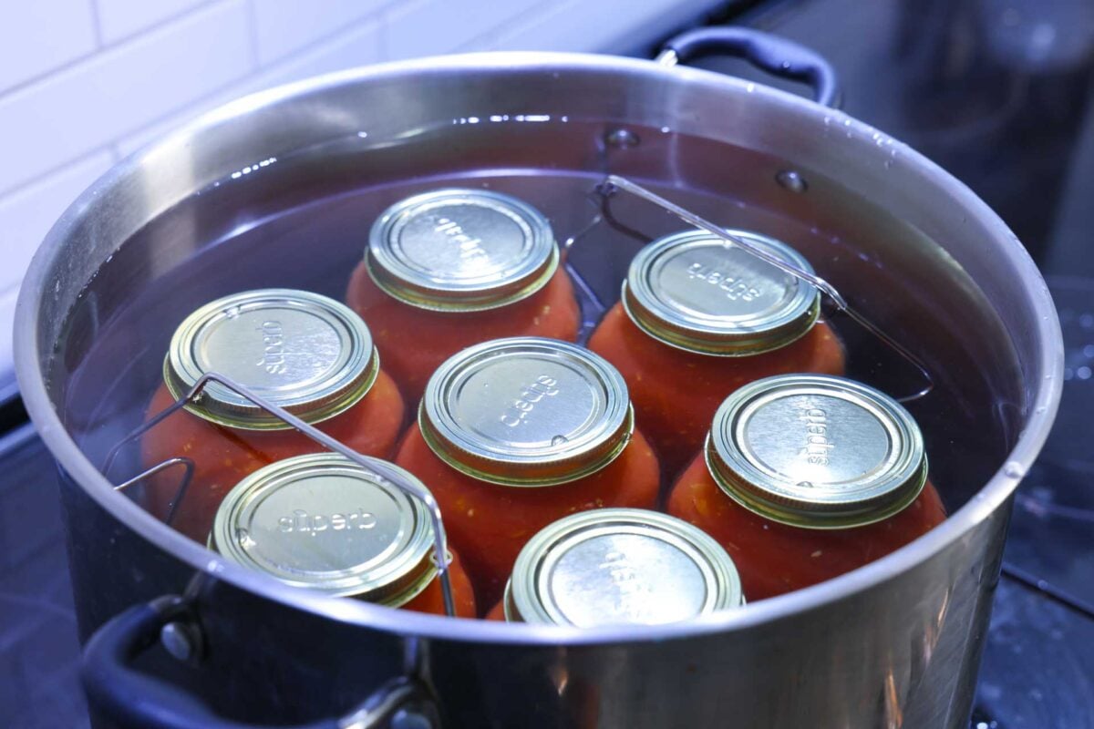 Diced tomatoes are loaded into a waterbath canner.