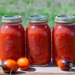 jars of diced tomatoes after canning.