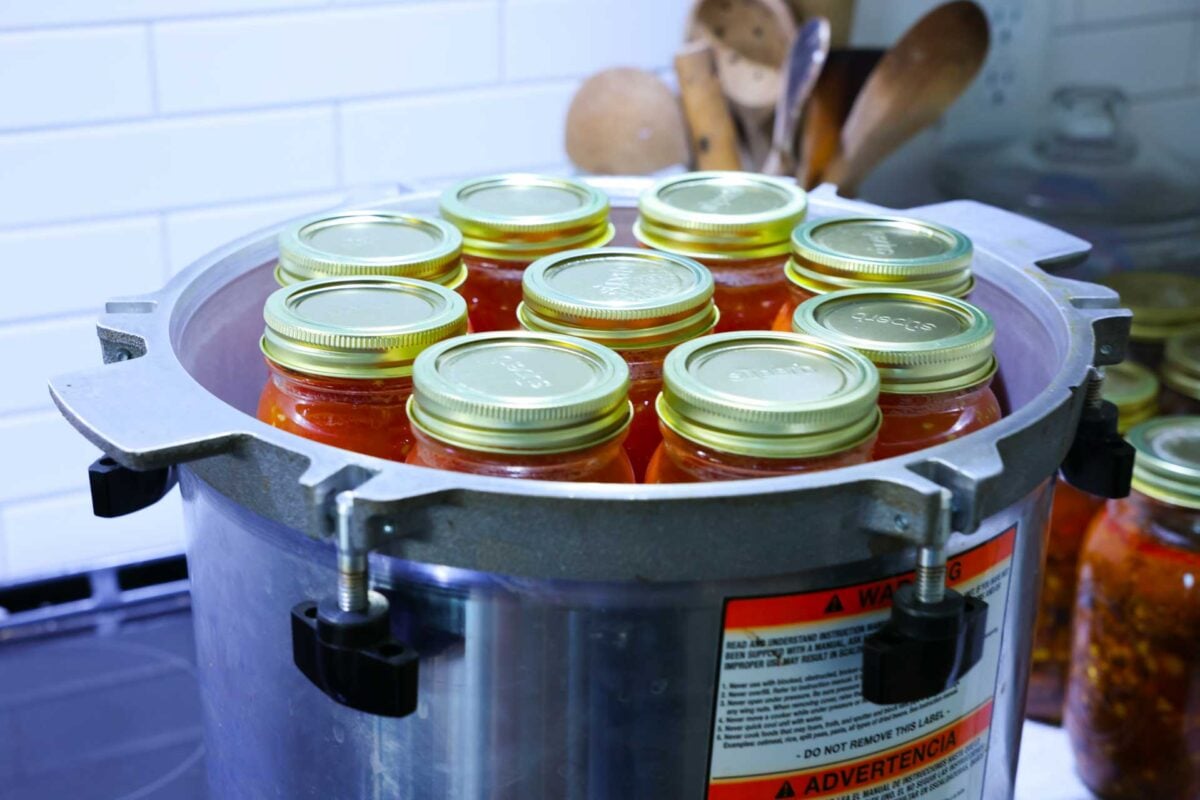 A pressure canner is filled with mason jars of diced tomatoes.