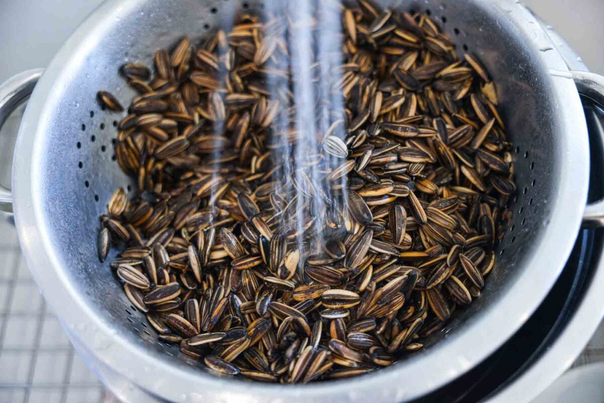 Washing off the brine with water after an overnight soak.