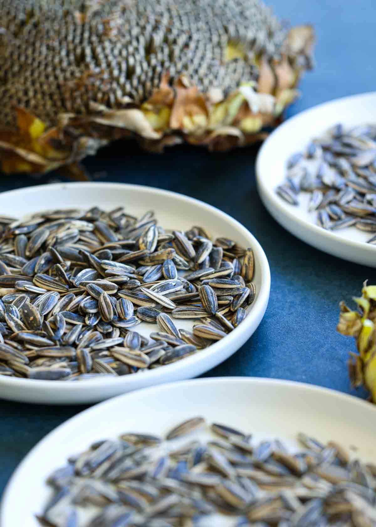 How to Roast Sunflower seeds {In-shell with Seasoning Options!}